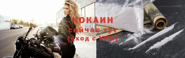 ПСИЛОЦИБИНОВЫЕ ГРИБЫ Тутаев