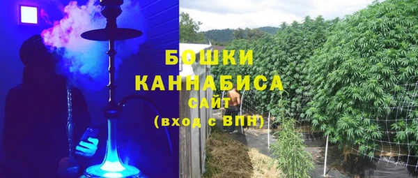 ПСИЛОЦИБИНОВЫЕ ГРИБЫ Тутаев